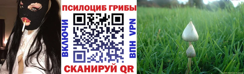 Купить закладки  Кохма  Псилоцибиновые грибы Psilocybine cubensis 